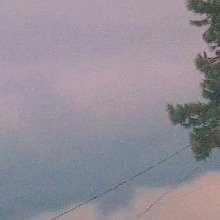 Guest_b3n4x