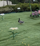 صورة الـavatar