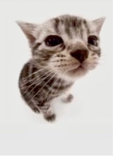 Guest_tighthole2