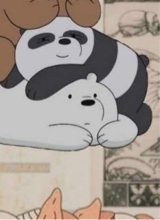 immagine avatar