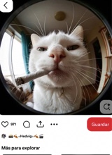 Guest_Anny101506