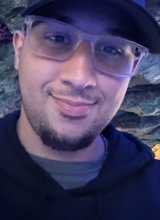 immagine avatar