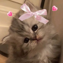 Guest_MaryKetelly