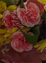 Guest_Trisha311