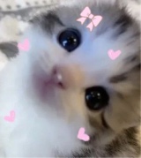 Guest_etoOnn