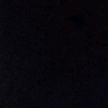 xTaeyangx