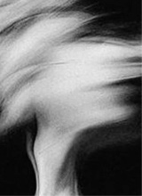 Guest_xenayax