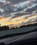 Guest_Marrahrose21