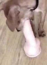 Guest_lilsalem1