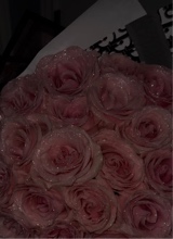 Guest_Dzz21