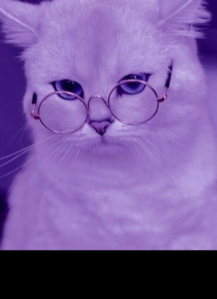 Guest_CatboyCody