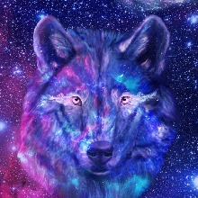 Qu33nWolf