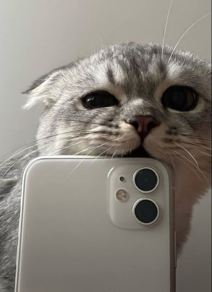 Portrait de l'avatar