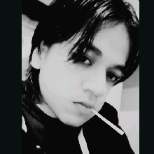 Guest_AlexPalma