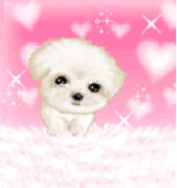 Guest_xJessx23