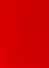 immagine avatar