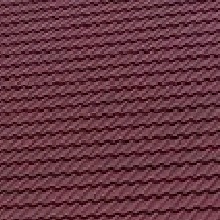 Guest_beasic