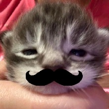 Guest_xanaxe