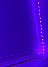 Guest_Mamidj11