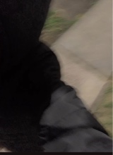Guest_xVoo3