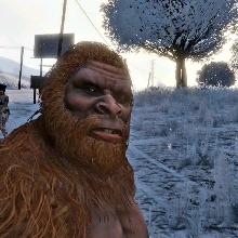 Portrait de l'avatar