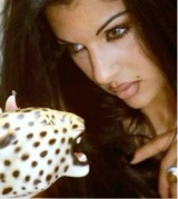 Layla