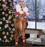 DESTINYDABODY
