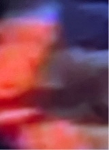 Guest_elhecksz42069