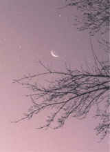 aeterna