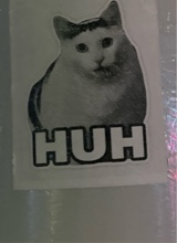 Guest_hateemost