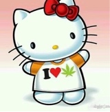 Guest_harley278823