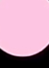Guest_Princefamily3