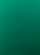 Guest_MagdyMalak