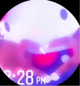 Guest_niyah994016