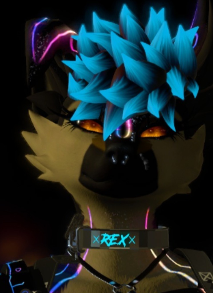 Guest_SKOLL11