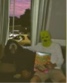 Guest_Unknown1775