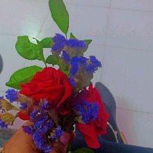 Guest_Hitakshi1