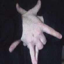 Guest_DonofMafia1