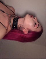 Guest_nesawallner