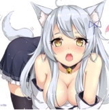 Guest_BlueMalibuXD