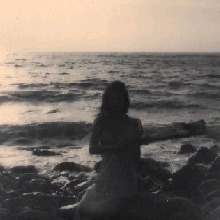 Guest_Eider2003B