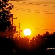 Guest_Antonio519912