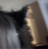 Esilynx