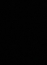 immagine avatar