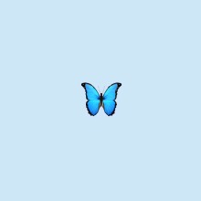 Guest_Nylabutterfly
