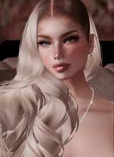 Guest_Vih906331