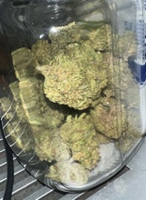 Guest_DeshawnBrown