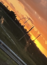 Guest_Lexi382105