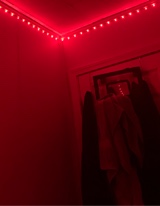 Guest_Miketolitty