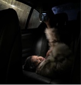 Guest_b6xxx69